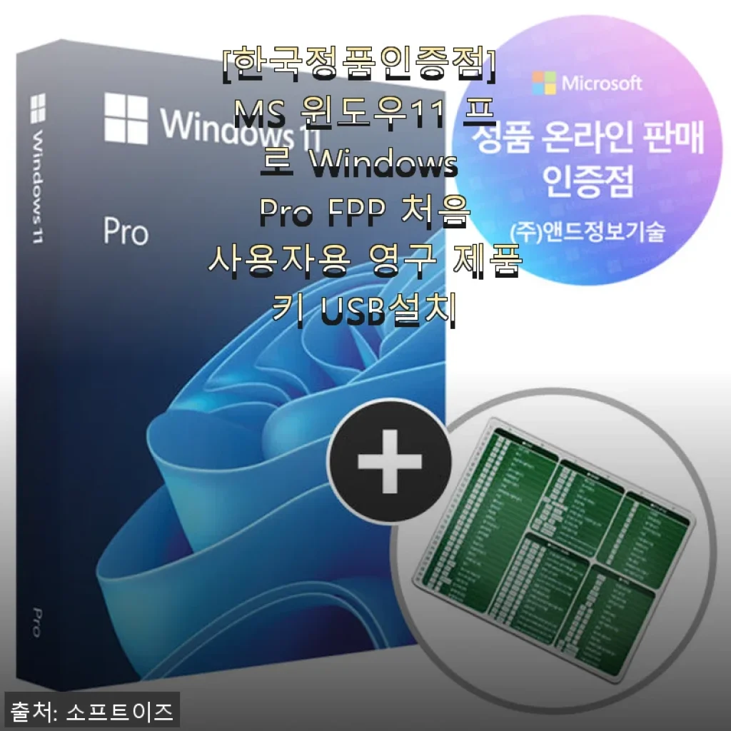 MS 윈도우11 프로 Windows Pro FPP 영구 제품키 사용후기