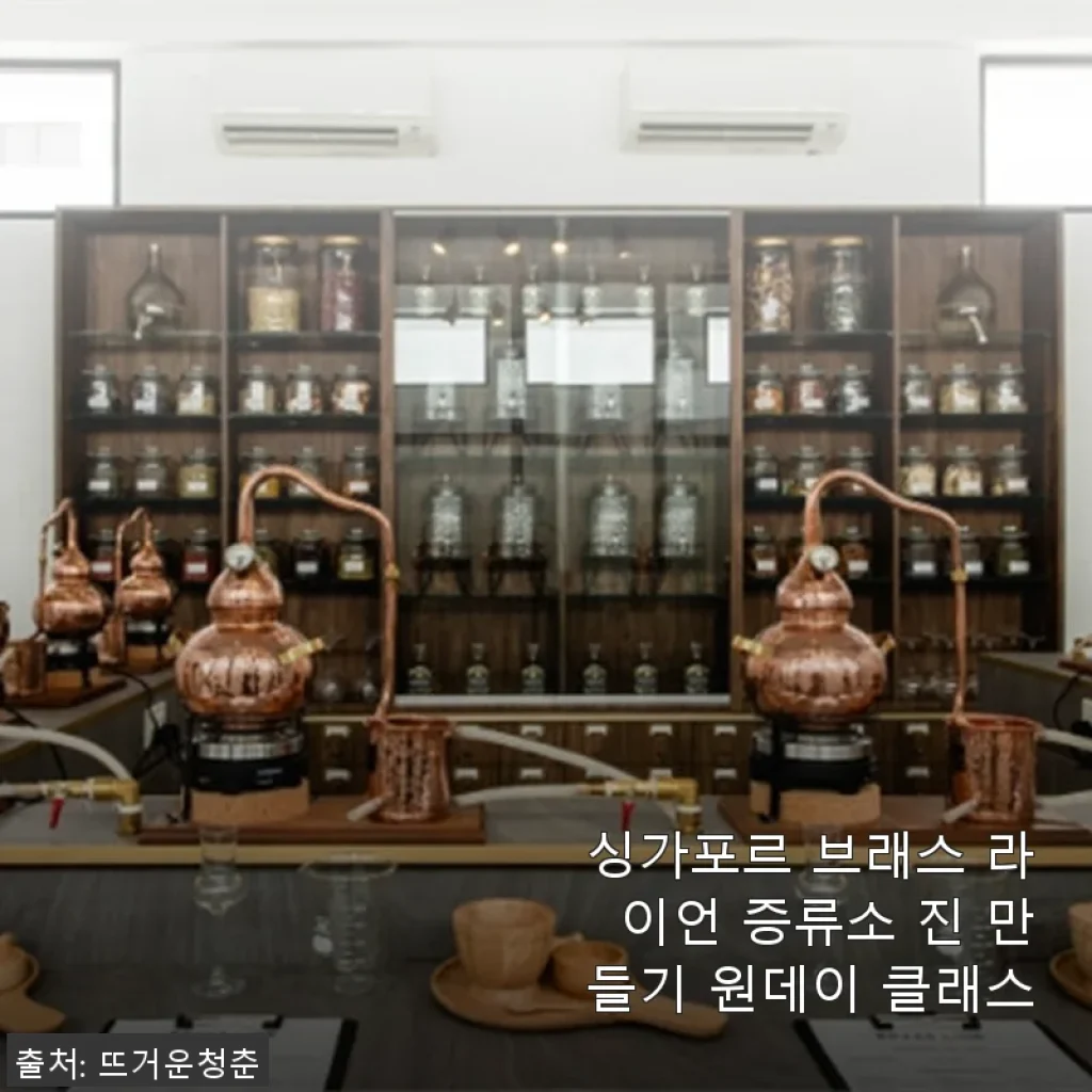 싱가포르 브래스 라이언 증류소 진 만들기 원데이 클래스, 직접 체험 후기