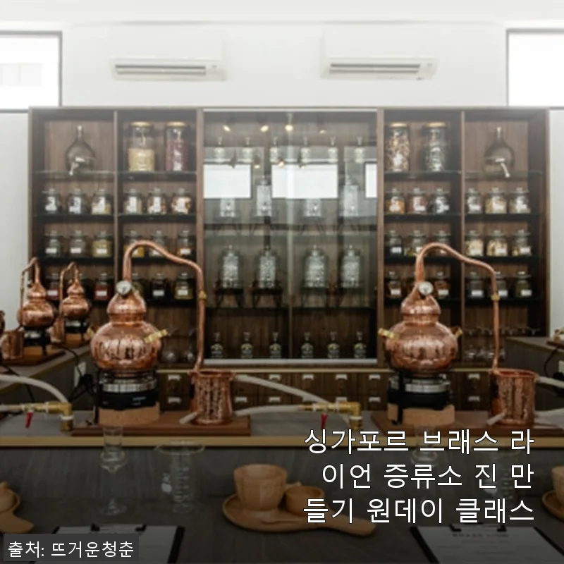 싱가포르 브래스 라이언 증류소 진 만들기 원데이 클래스, 직접 체험 후기