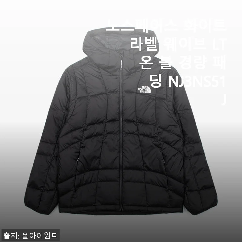 노스페이스 화이트라벨 웨이브 LT 온 볼 경량 패딩 NJ3NS51J 사용후기
