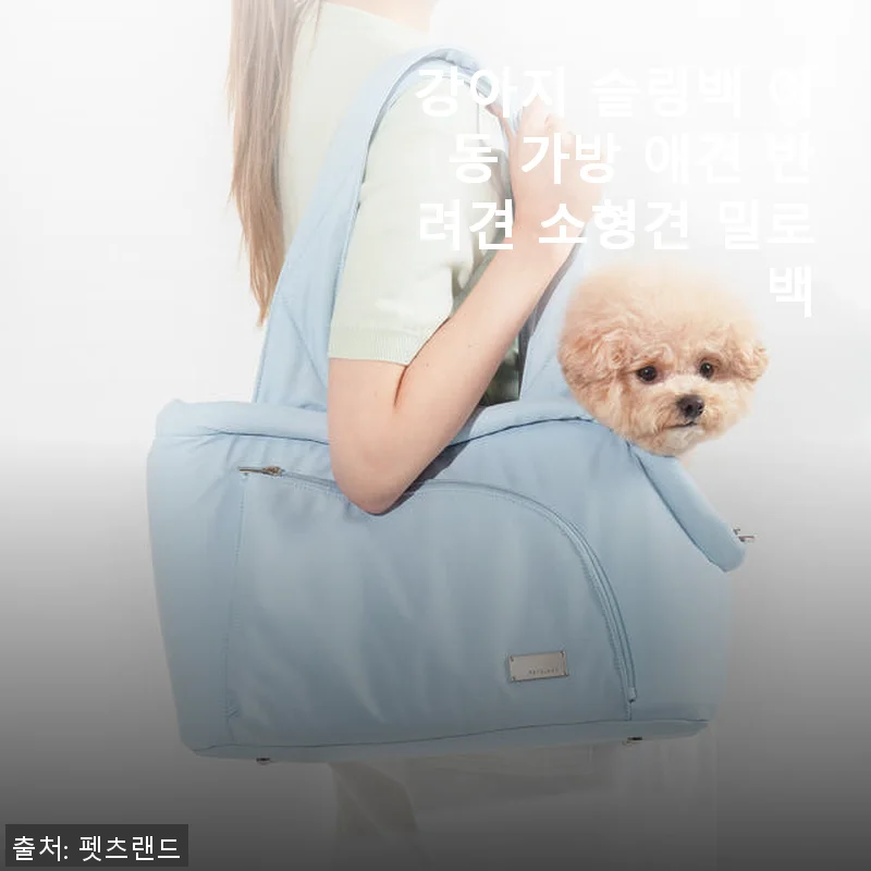강아지 슬링백 이동 가방 애견 반려견 소형견 밀로백 1달 사용 후기