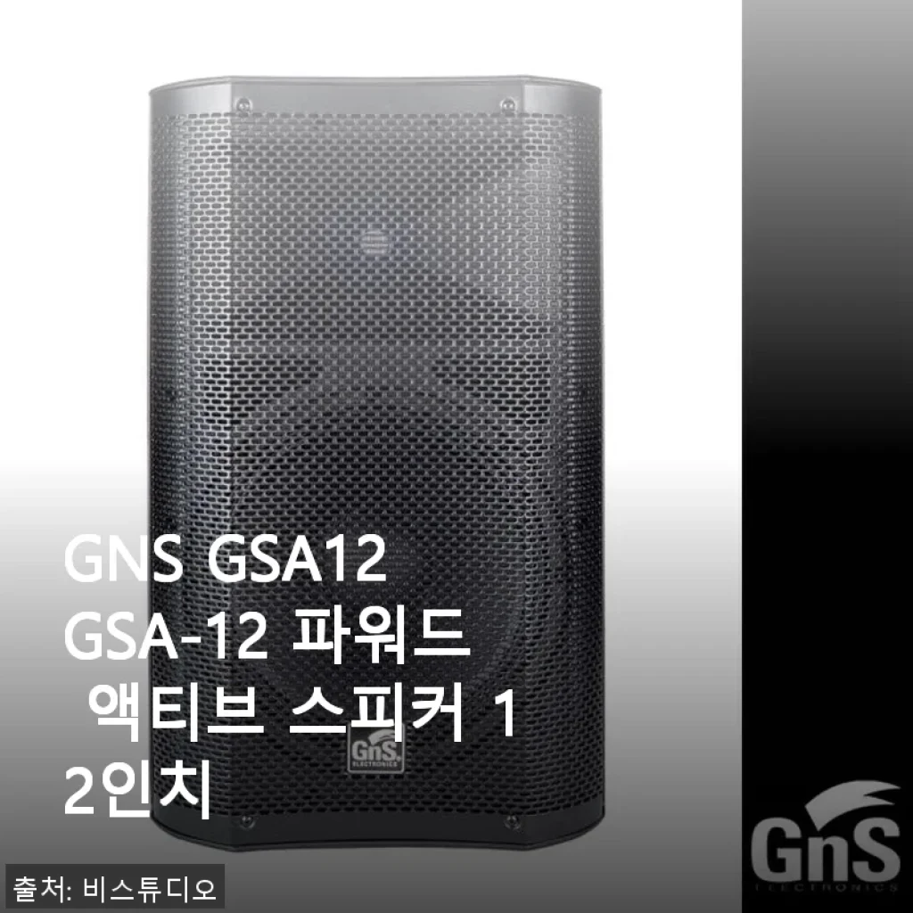 GNS GSA12 파워드 액티브 스피커 12인치 사용 후기와 구매 경험