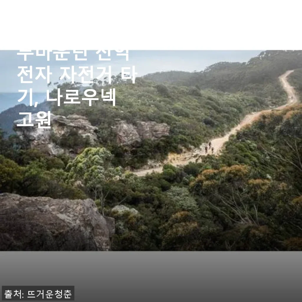 호주 시드니 블루마운틴 산악 전자 자전거 타기, 나로우넥 고원 체험 후기