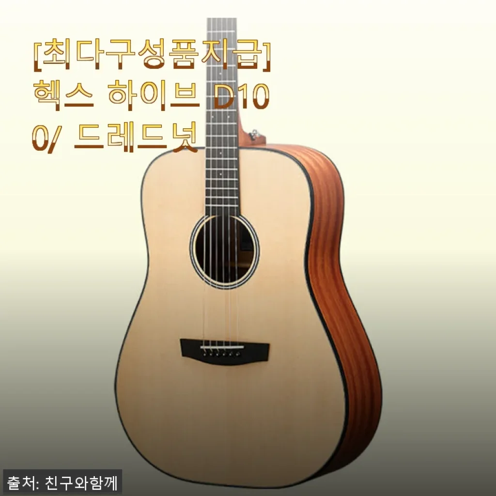 헥스 하이브 D100 드레드넛 기타, 직접 사용해 본 솔직한 후기