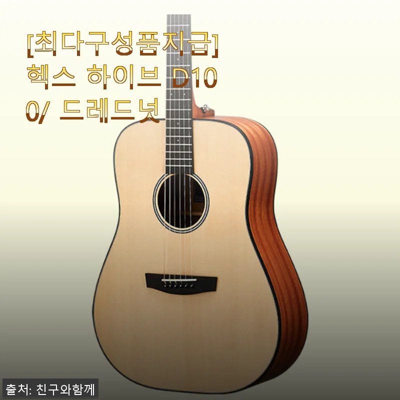 헥스 하이브 D100 드레드넛 기타, 직접 사용해 본 솔직한 후기
