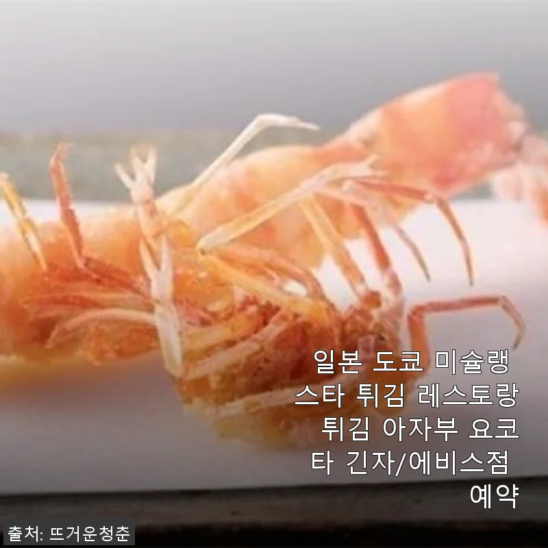 일본 도쿄 미슐랭 스타 튀김 레스토랑 ‘튀김 아자부 요코타 긴자/에비스점’ 예약 후기
