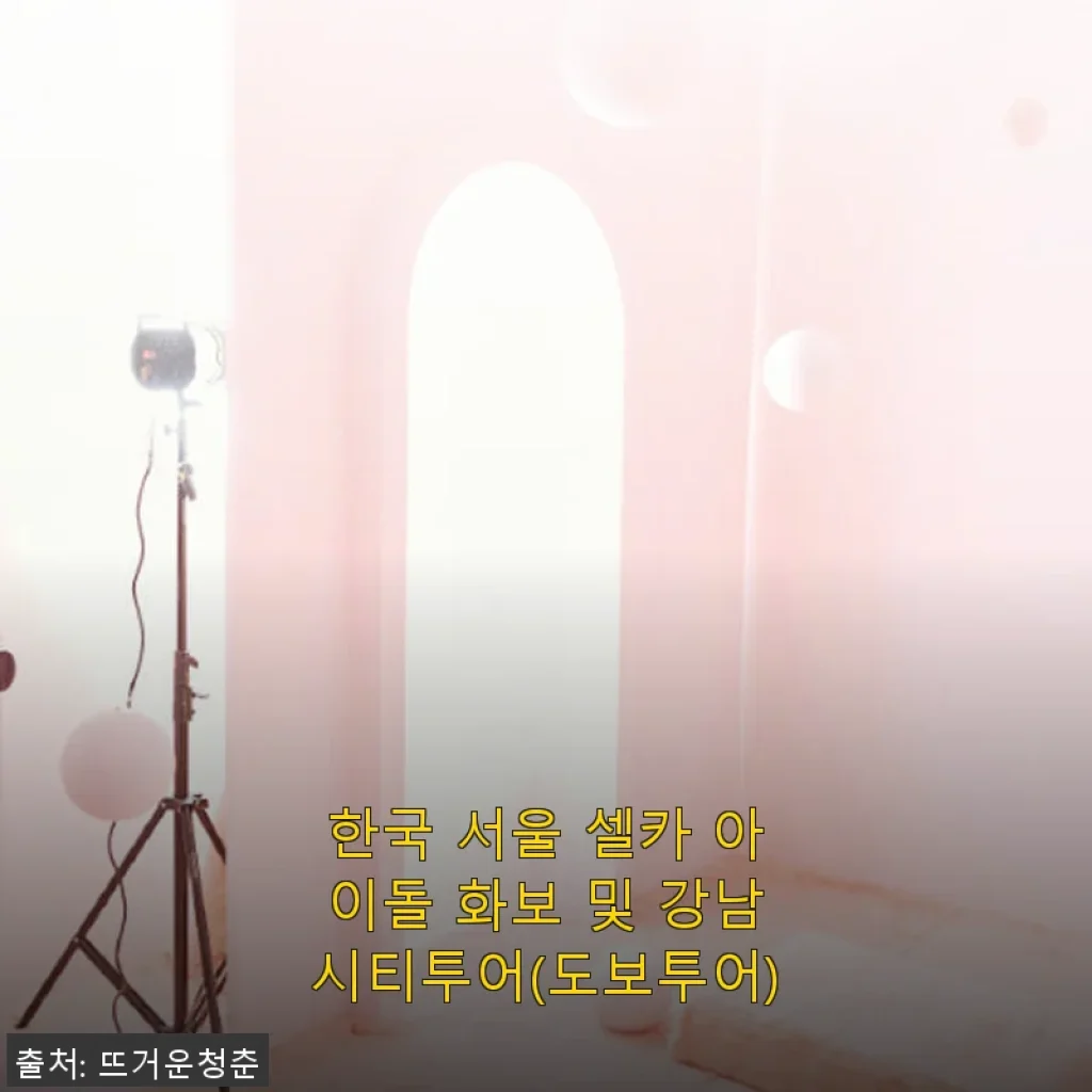 한국 서울 셀카 아이돌 화보 및 강남시티투어(도보투어) 체험 후기