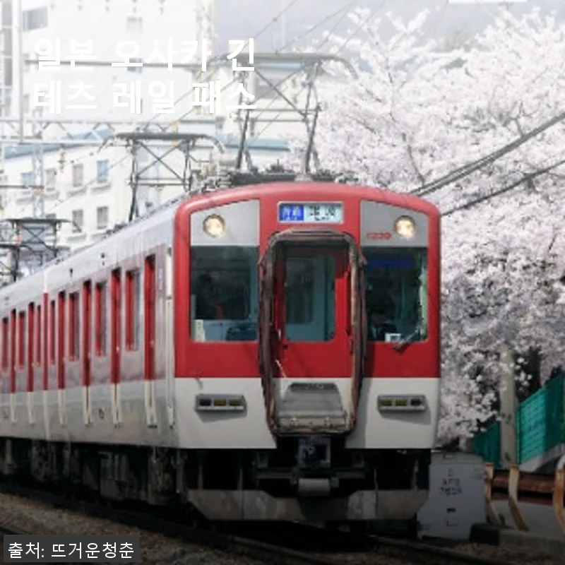 일본 오사카 긴테츠 레일 패스 사용후기 및 자세한 제품소개