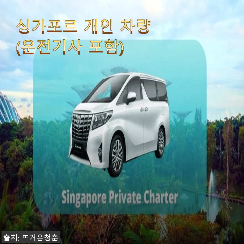 싱가포르 개인 차량(운전기사 포함) 이용 후기 및 상품 소개