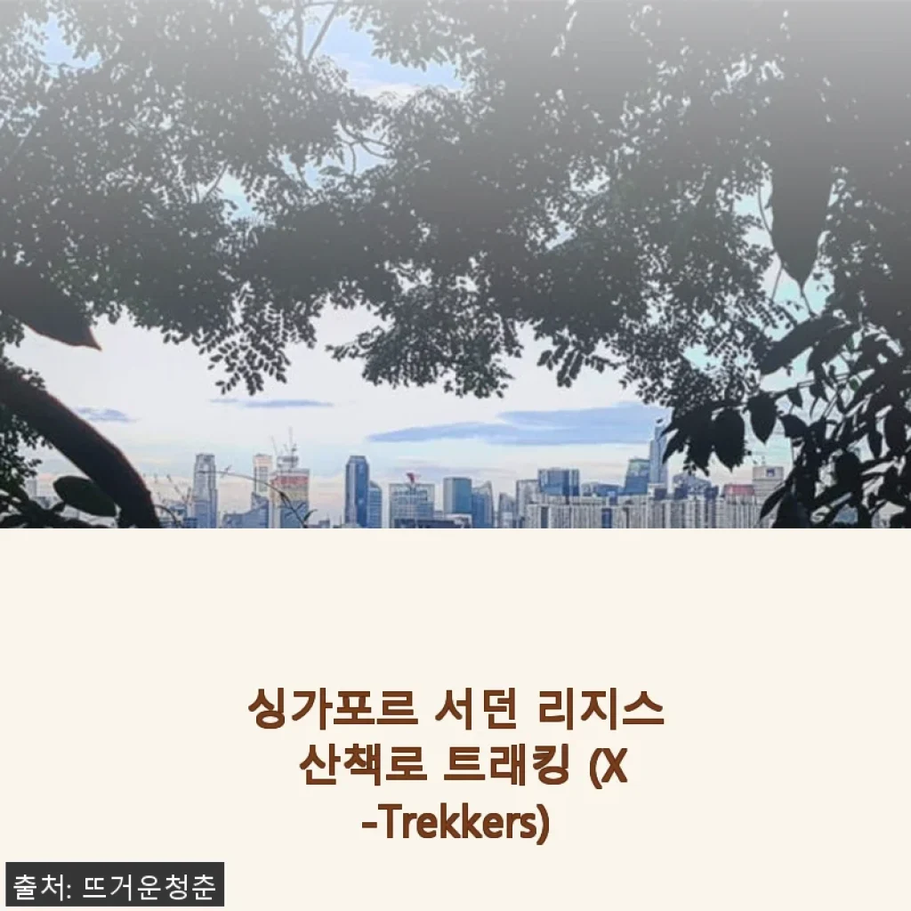 싱가포르 서던 리지스 산책로 트래킹 (X-Trekkers) 직접 사용 후기