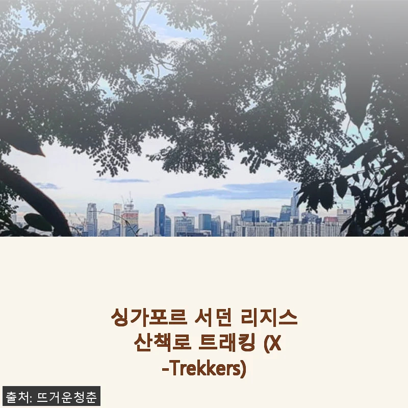 싱가포르 서던 리지스 산책로 트래킹 (X-Trekkers) 직접 사용 후기