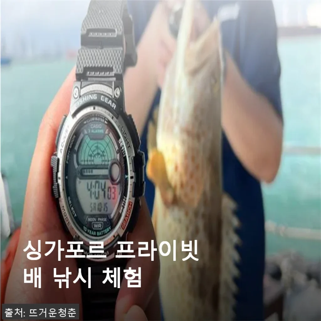 싱가포르 프라이빗 배 낚시 체험, 직접 경험한 특별한 힐링 타임