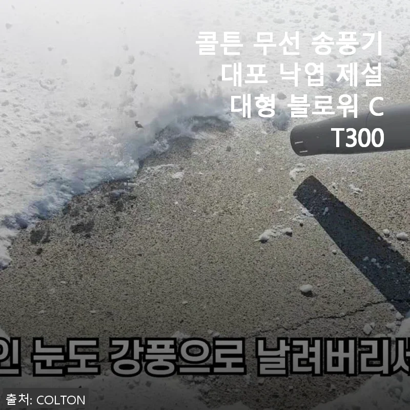 콜튼 무선 송풍기 CT300 사용후기와 제품 소개