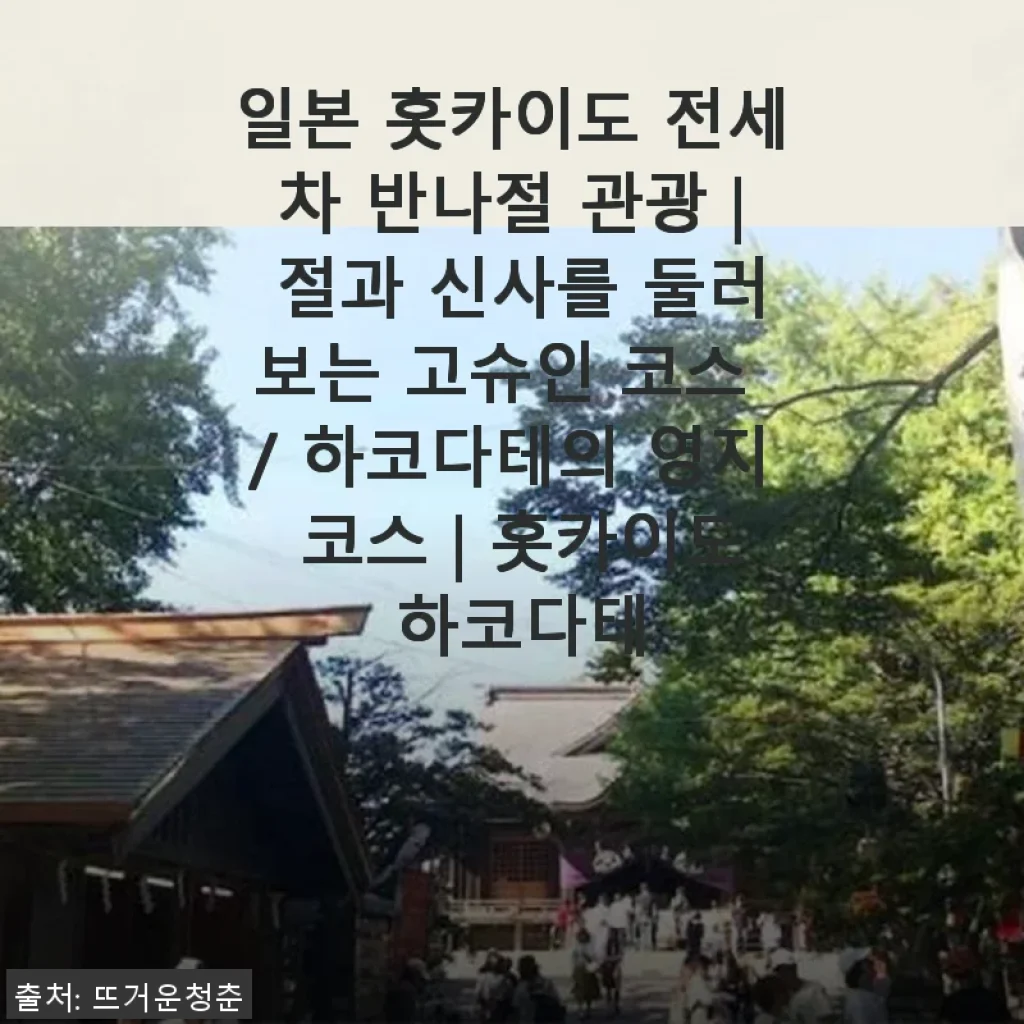 일본 홋카이도 전세차 반나절 관광 체험 후기 – 절과 신사를 둘러보는 고슈인 코스