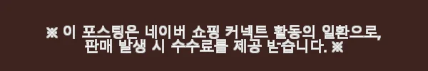 고퍼우드 G100 드레드넛 입문용 기타 사용 후기, 직접 경험해보니