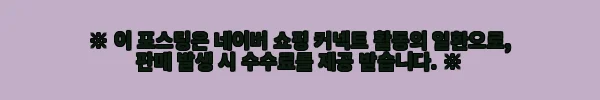 LG 코드제로 A5 무선청소기 AS527WA 물걸레 기능까지 완벽한 사용후기 9 이해관계문구