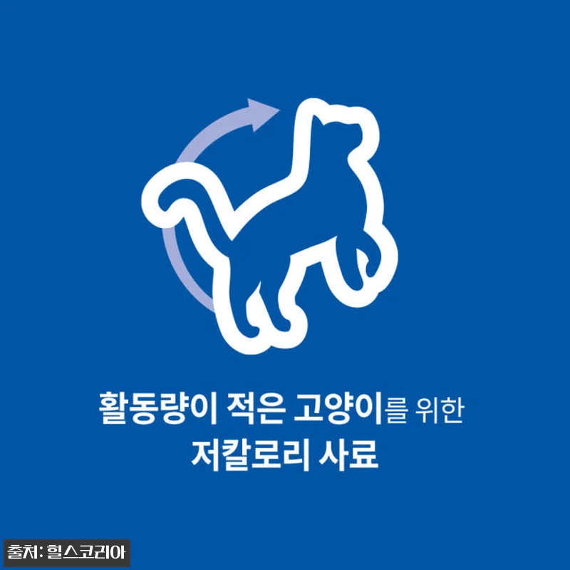 힐스 고양이사료 어덜트 라이트 2kg 관련 이미지 1