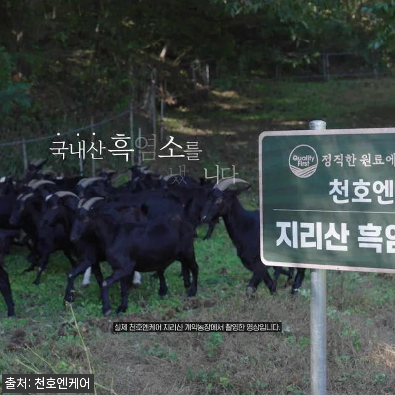 천호엔케어 자연방목 흑염소즙 엑기스 관련 이미지 2