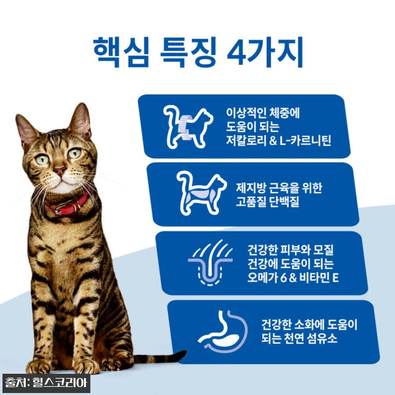 힐스 고양이사료 어덜트 라이트 2kg 관련 이미지 2