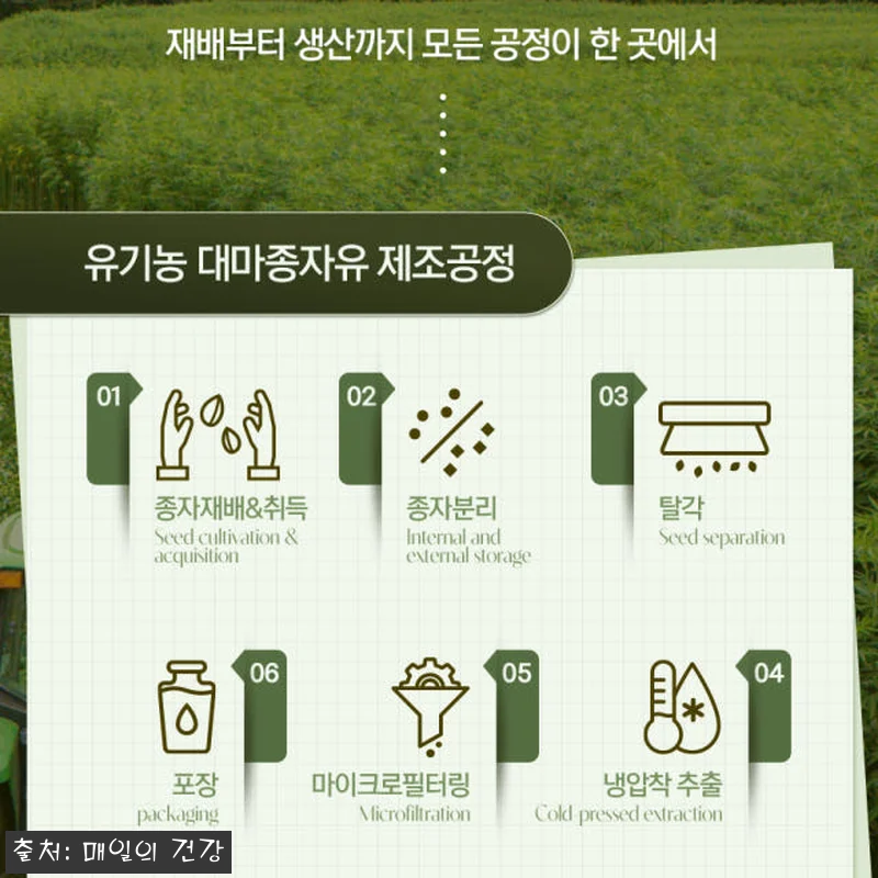 심플리잇 유기농 대마종자유 1000 관련 이미지 2