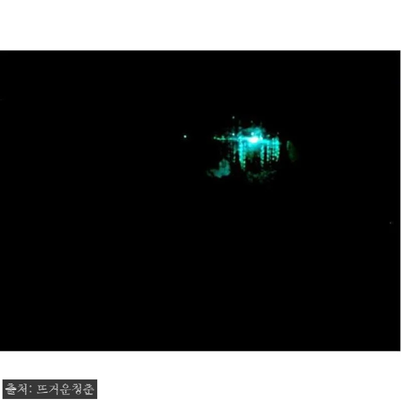 호주 시드니 밤의 블루마운틴 반딧불이 관련 이미지 3