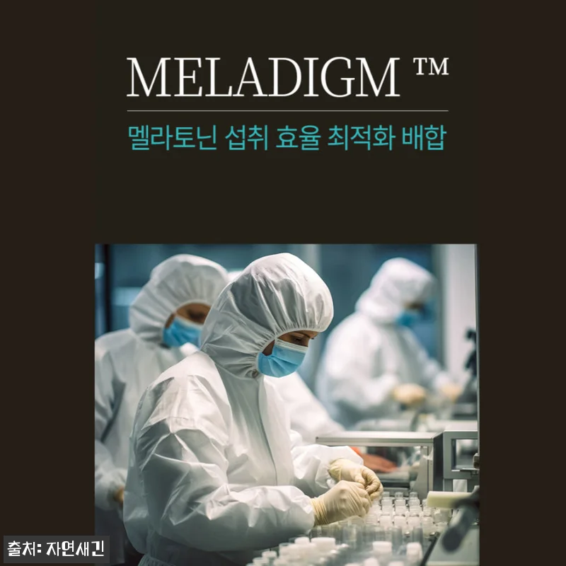 식물성 멜라토닌 메라토닌 포레스트 2 관련 이미지 4