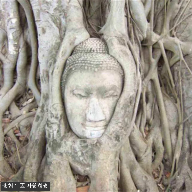 방콕 아유타야 세계문화유산 차량대절 관련 이미지 5