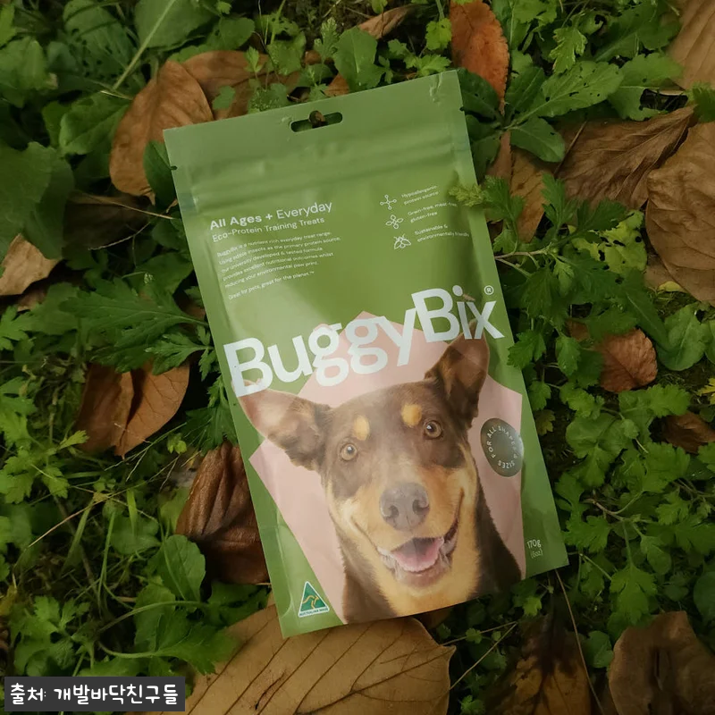 버기빅스 강아지 알러지 간식 사용후기 관련 이미지 2