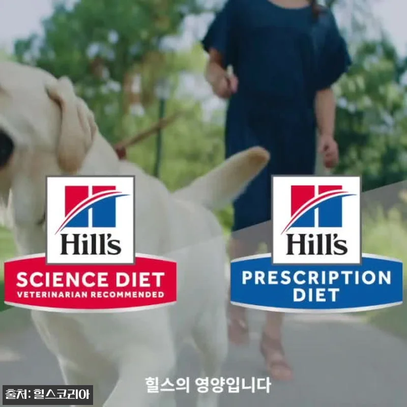 힐스 고양이사료 어덜트 라이트 2kg 관련 이미지 7