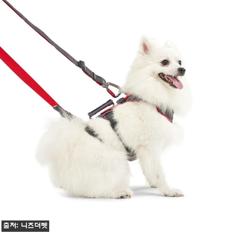 인터라켄 어스텍 슬림 3.0 하네스 관련 이미지 8