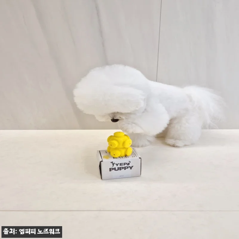 [옙퍼피] 강아지노즈워크 퍼즐 바이트 관련 이미지 5