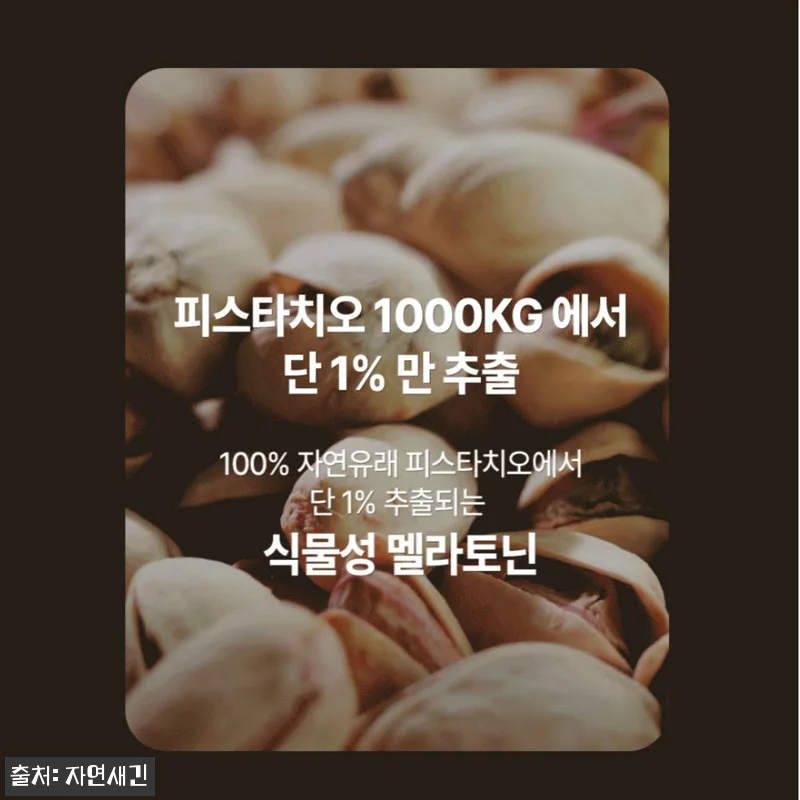 식물성 멜라토닌 메라토닌 포레스트 2 관련 이미지 9