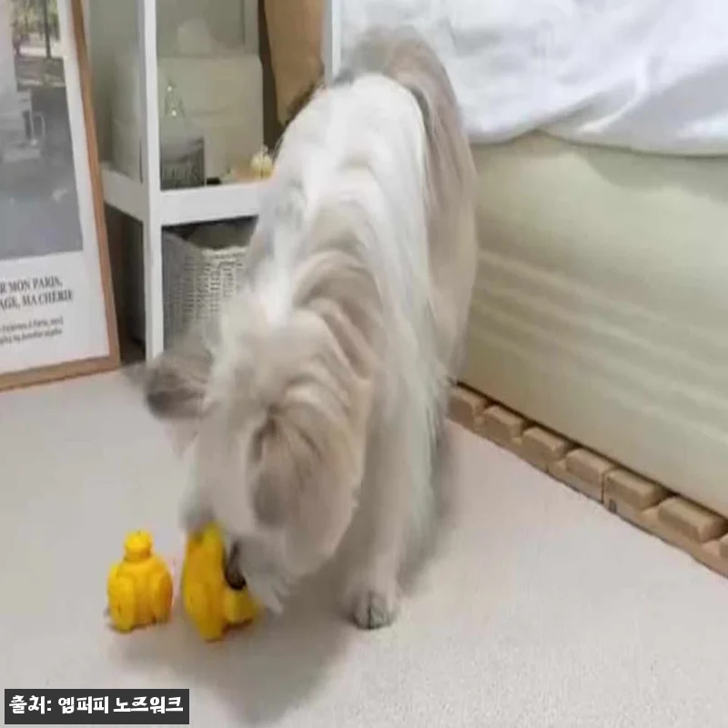 [옙퍼피] 강아지노즈워크 퍼즐 바이트 관련 이미지 7