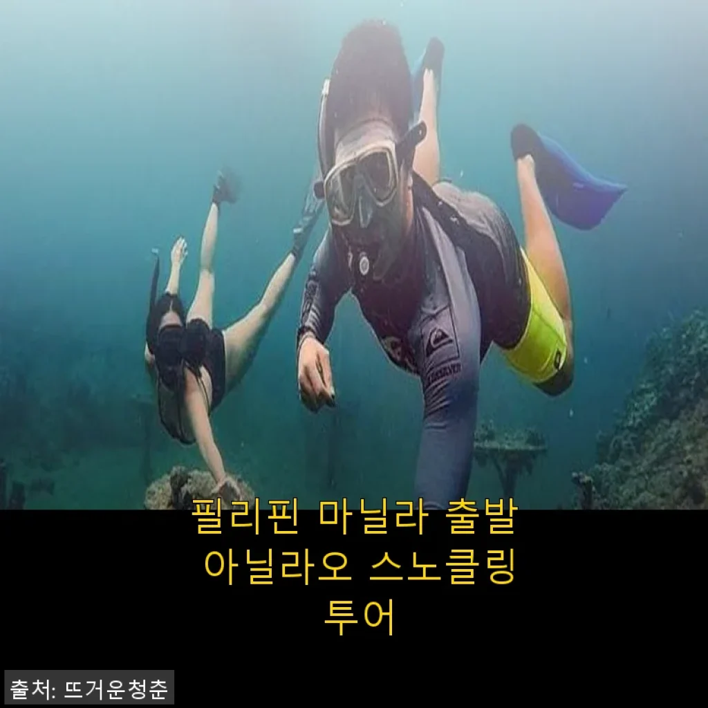 필리핀 마닐라 출발 아닐라오 스노클링 투어 사용후기 및 상세 소개