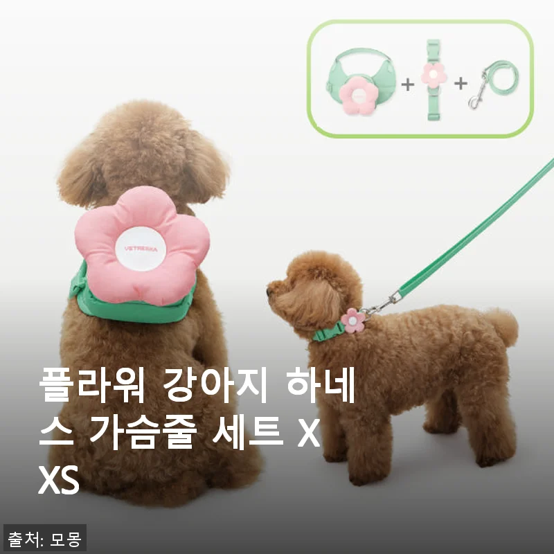 플라워 강아지 하네스 가슴줄 세트 XXS 사용 후기: 귀여움과 실용성 모두 잡은 선택