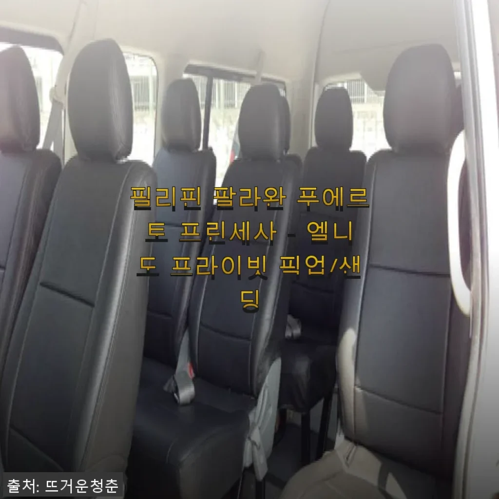 필리핀 팔라완 푸에르토 프린세사 - 엘니도 프라이빗 픽업/샌딩 사용후기