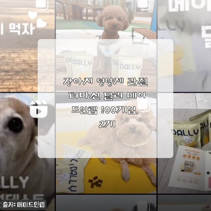 강아지 영양제 관절 터마신 달리 메이드인랩 100개입 2개 세트, 직접 써보니 꾸준한 관리에 좋은 선택이었어요