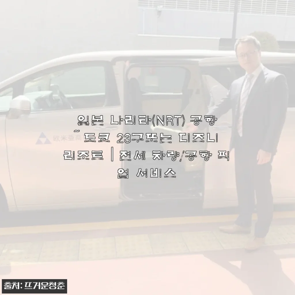 일본 나리타 공항 픽업 전세 차량 서비스 직접 경험 후기