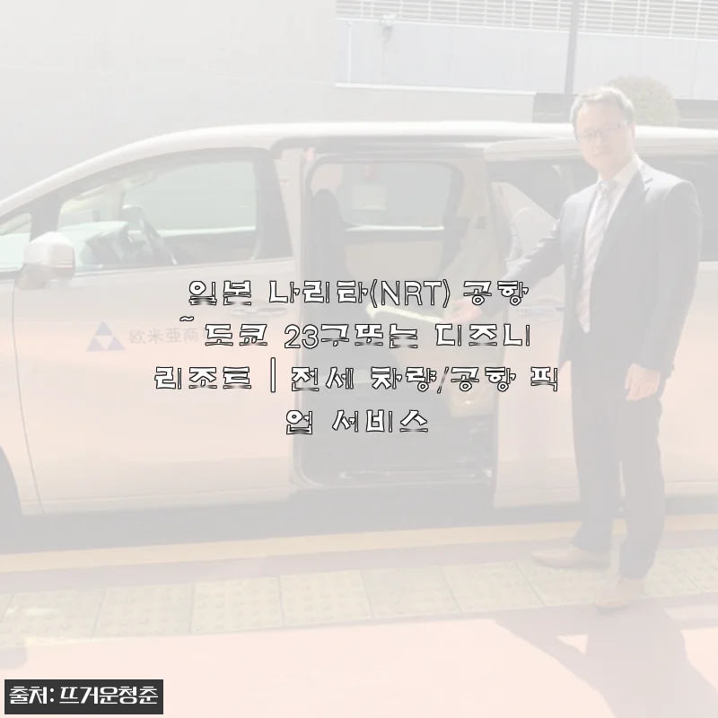 일본 나리타 공항 픽업 전세 차량 서비스 직접 경험 후기