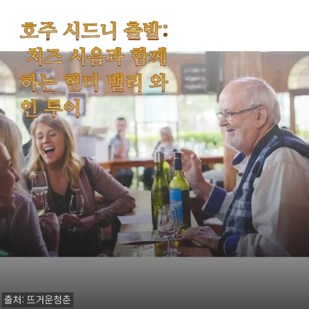 호주 시드니 출발: 치즈 시음과 함께하는 헌터 밸리 와인 투어 후기