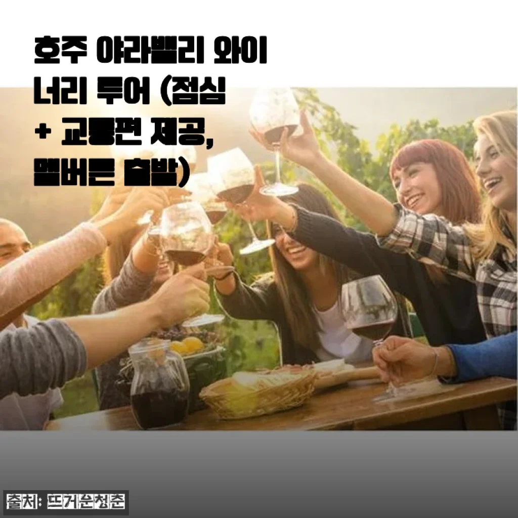 호주 야라밸리 와이너리 투어 체험 후기 – 멜버른 출발, 점심과 교통편까지 완벽한 하루