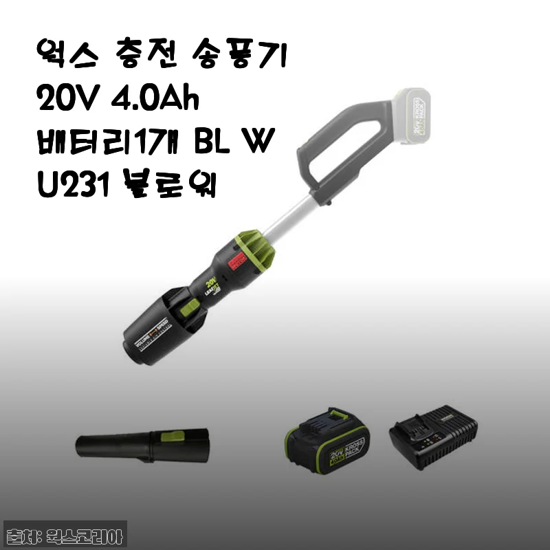 웍스 충전 송풍기 20V 4.0Ah 배터리1개 BL WU231 사용후기