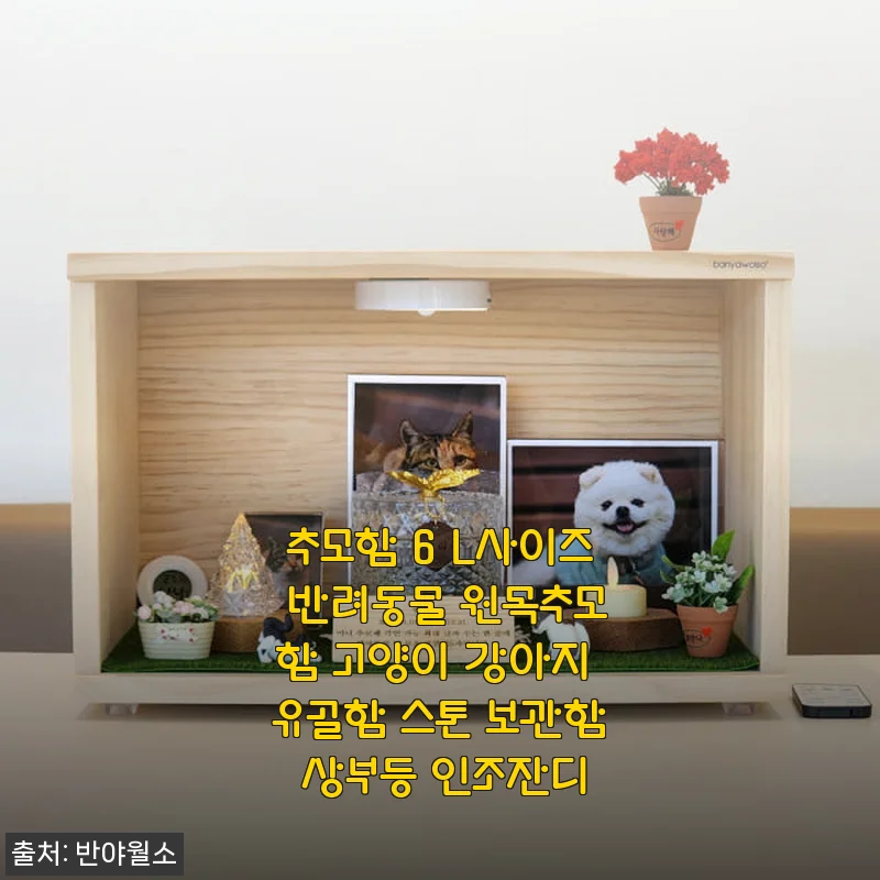 추모함 6 L사이즈 반려동물 원목추모함 사용후기: 따뜻한 마음을 담아 아이를 기억하다
