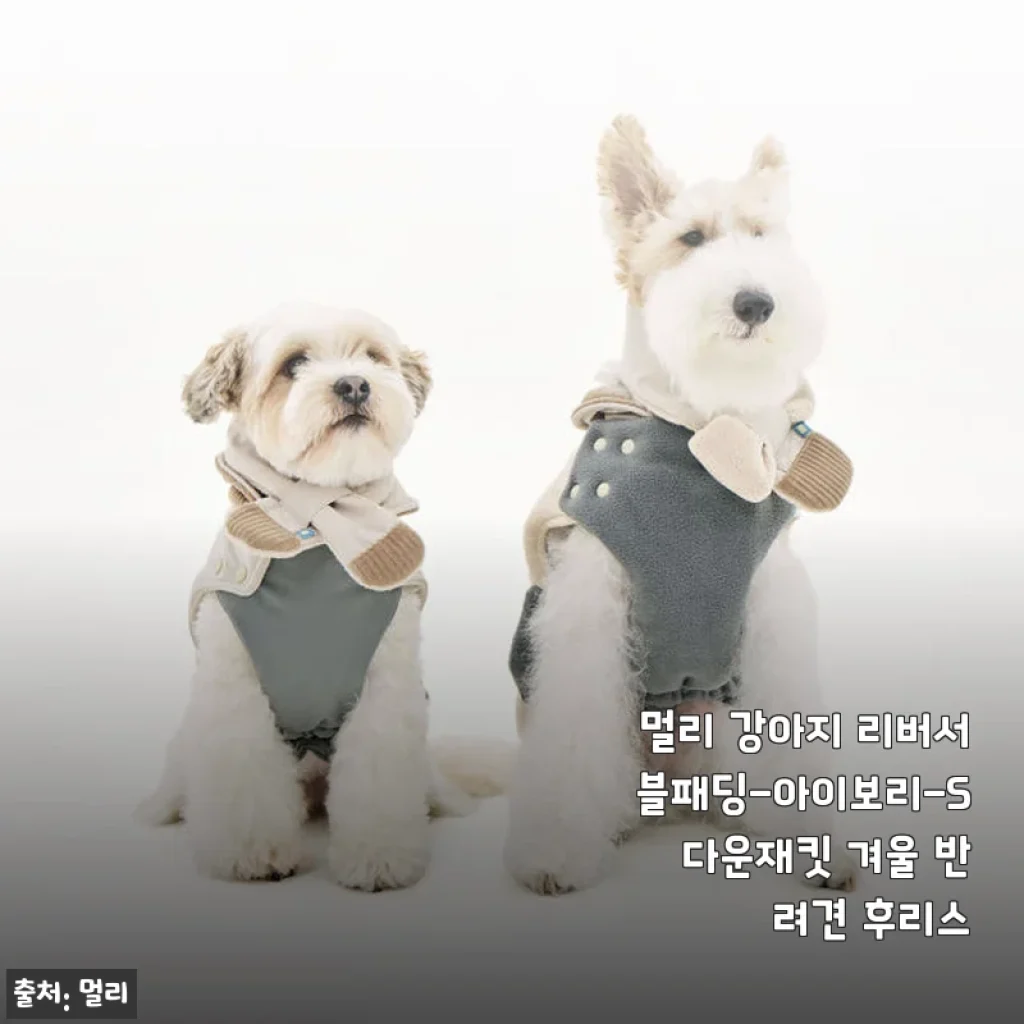 멀리 강아지 리버서블패딩 아이보리-S 다운재킷 사용후기