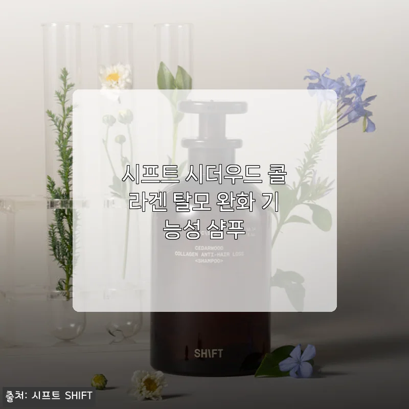 시프트 시더우드 콜라겐 탈모 완화 기능성 샴푸 사용후기