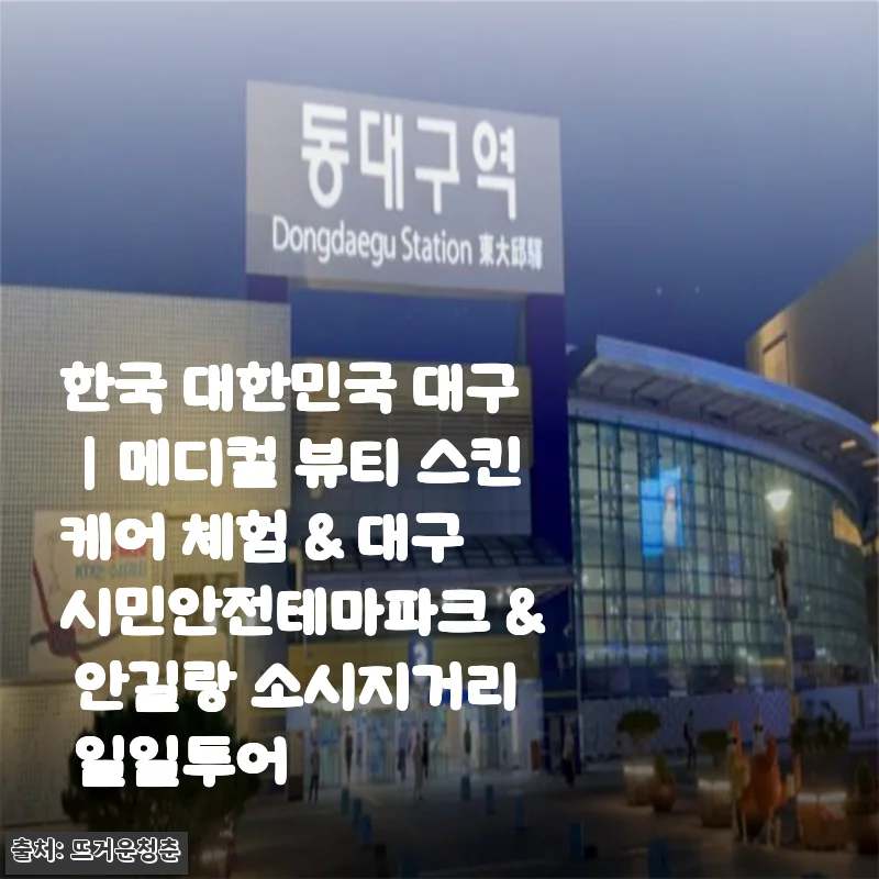 대구 메디컬 뷰티 스킨케어 체험과 안전테마파크, 안길랑 소시지거리 일일투어 사용후기