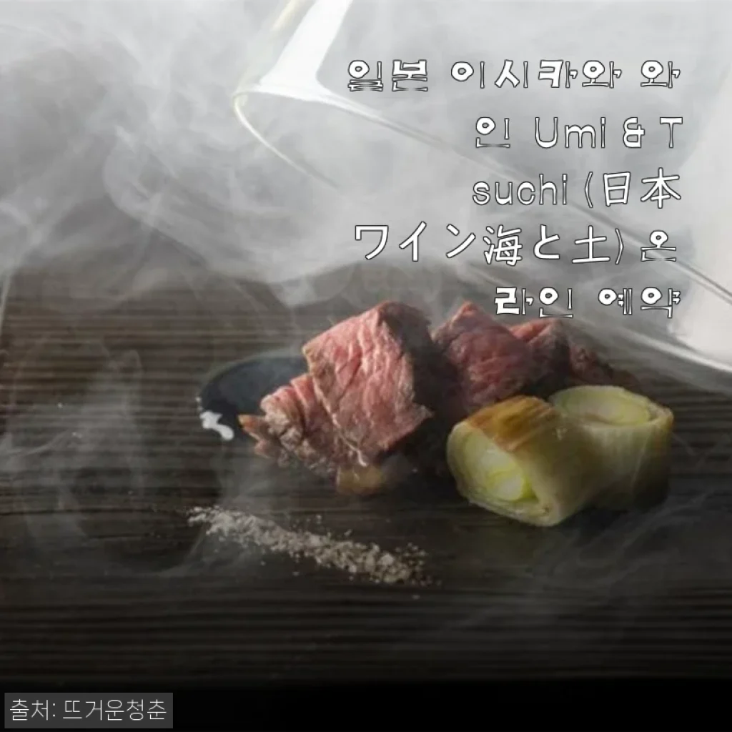 일본 이시카와 와인 Umi & Tsuchi 사용후기와 할인 정보