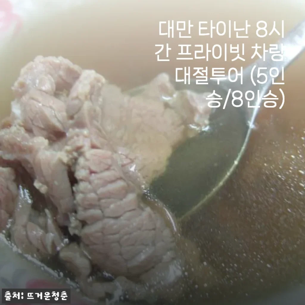 대만 타이난 8시간 프라이빗 차량 대절투어 사용후기