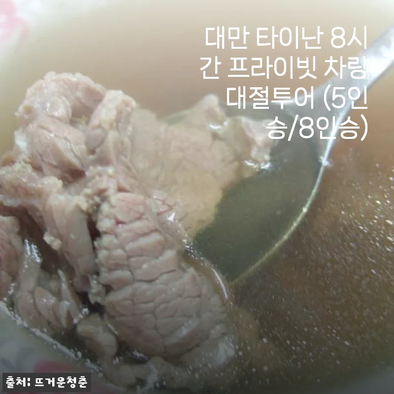 대만 타이난 8시간 프라이빗 차량 대절투어 사용후기
