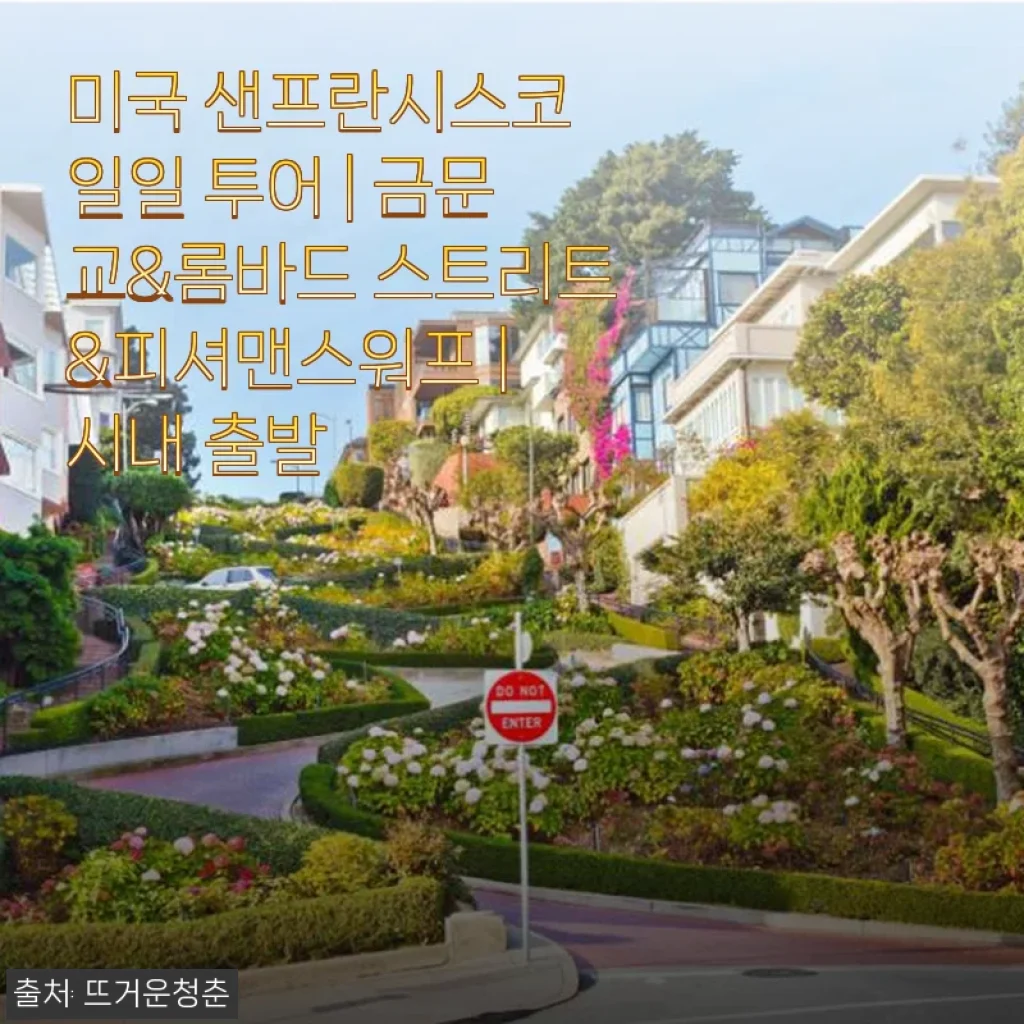 미국 샌프란시스코 일일 투어 체험 후기: 금문교부터 피셔맨스워프까지